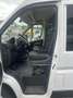 Fiat Ducato 2.3MJT MH2 2Cab 140cv 7Posti 2200x1400x1950 kg1105 Bianco - thumbnail 8