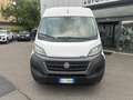 Fiat Ducato 2.3MJT MH2 2Cab 140cv 7Posti 2200x1400x1950 kg1105 Bianco - thumbnail 2