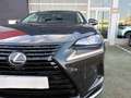 Lexus NX 300h 2.5 Premium 2WD Noir - thumbnail 9