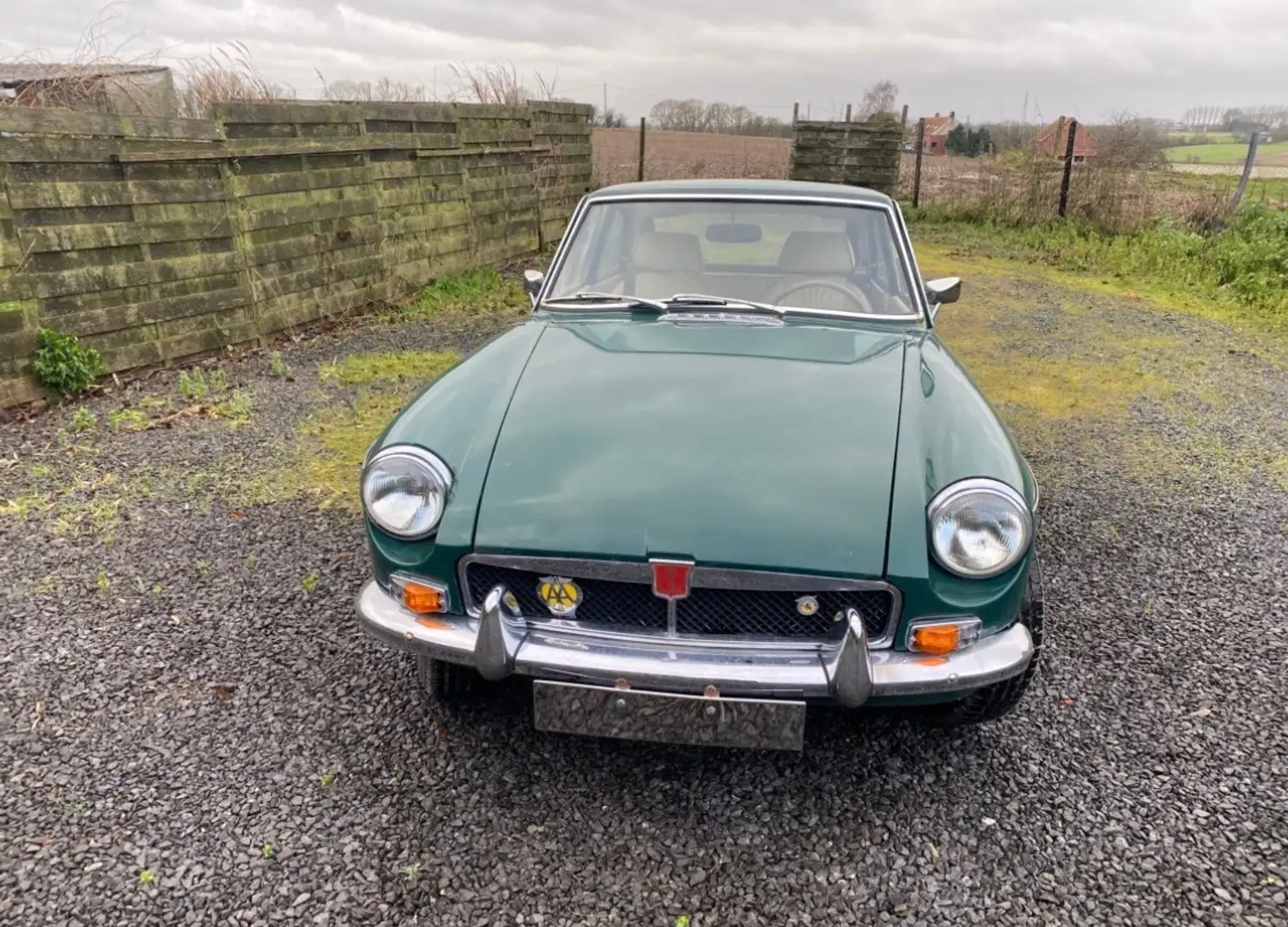 Oldtimer MG MGB GT Grün - 1