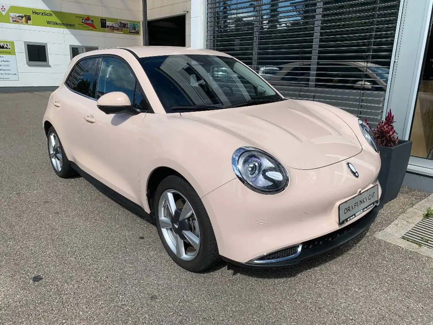 GWM Sonstige ORA 300 PRO mit Wärmepumpen-Funktion Beige - 1