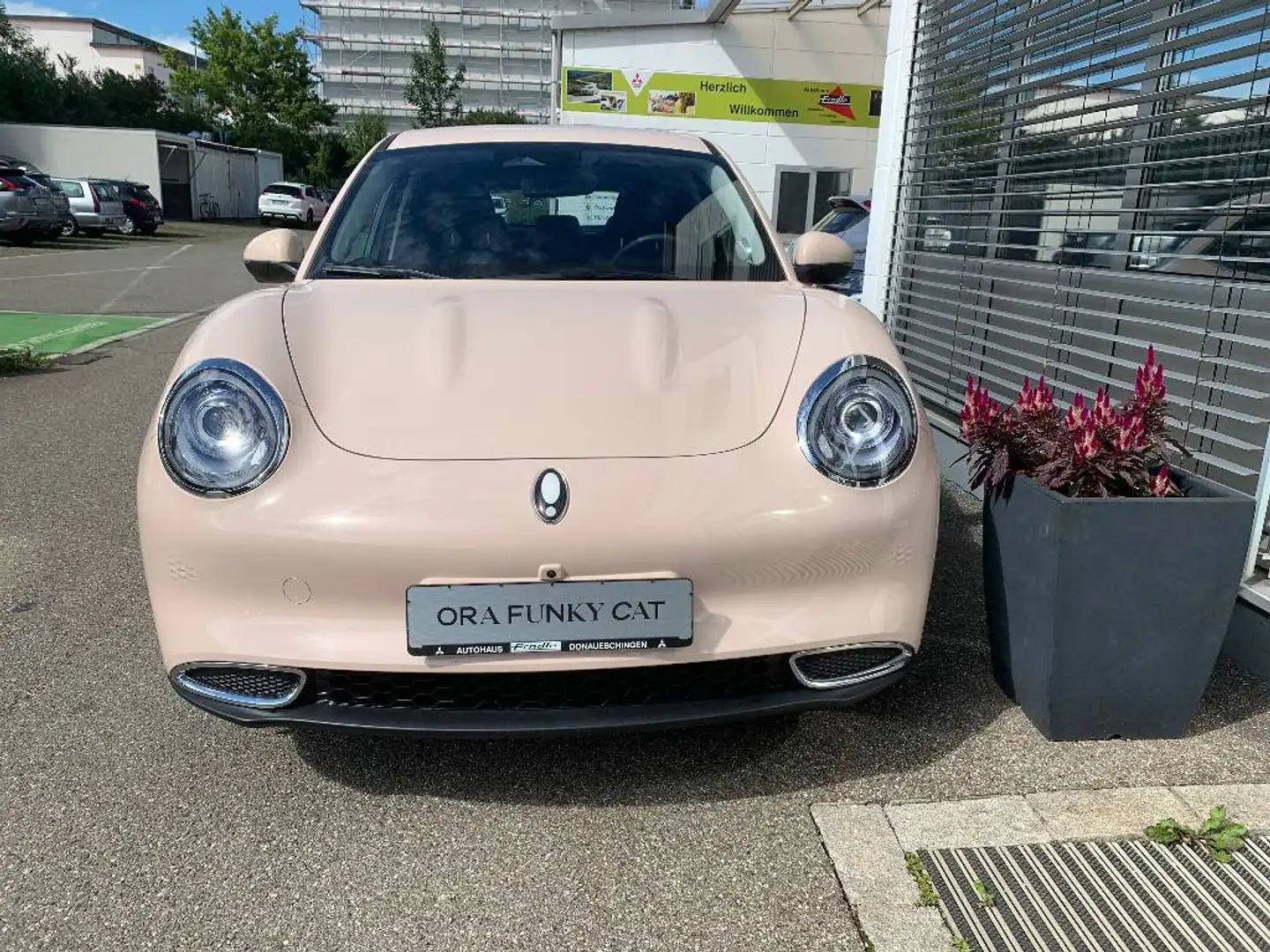 GWM Sonstige ORA 300 PRO mit Wärmepumpen-Funktion Beige - 2