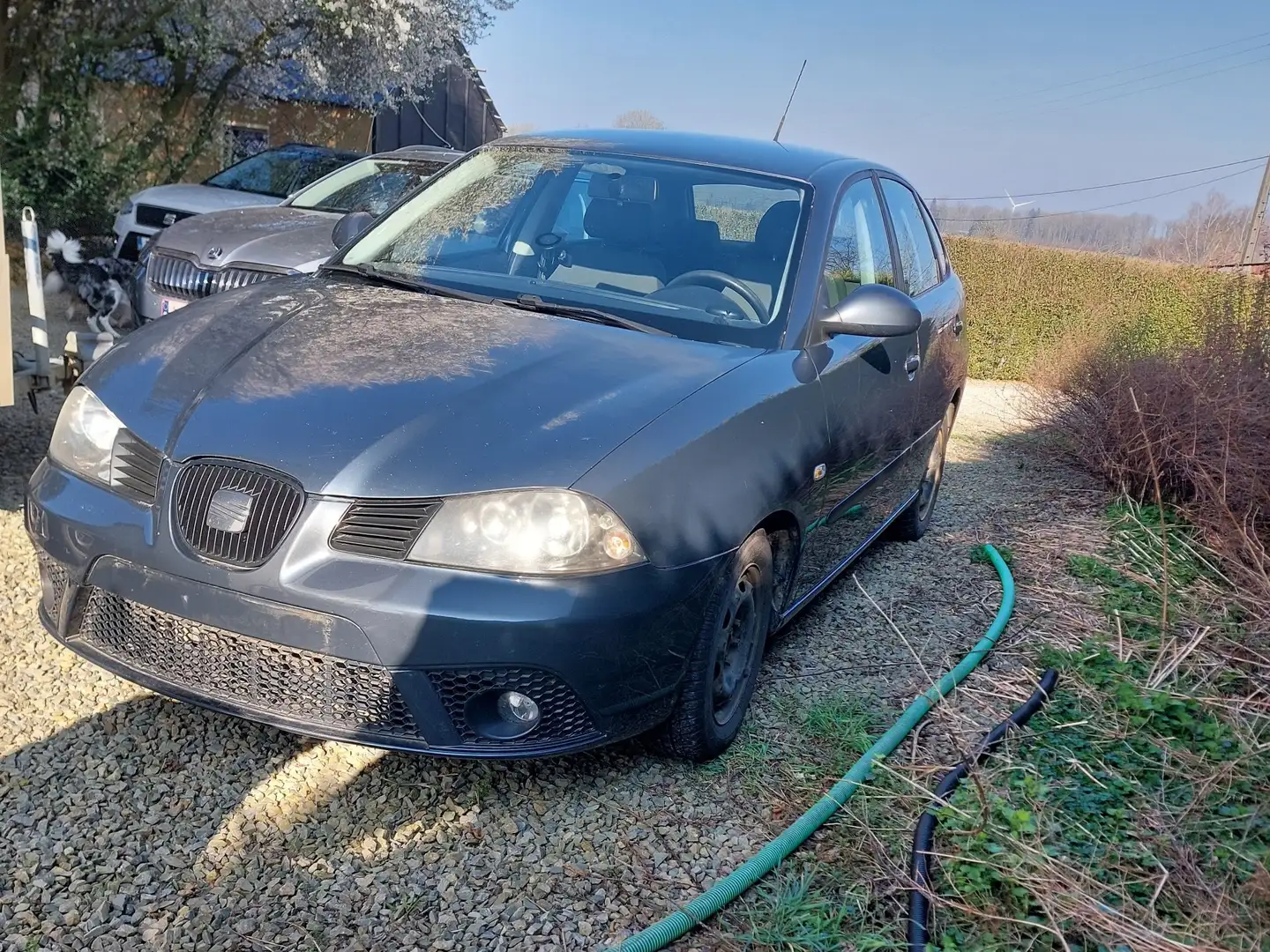 SEAT Ibiza 1.4i 16v Reference - 2