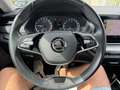Skoda Octavia Combi 2,0 TDI 4x4 Ambition DSG Silber - thumbnail 13