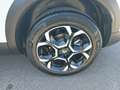 Citroen C5 Aircross PureTech 130 S&S Plus Bianco - thumbnail 7