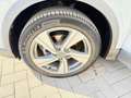 Audi Q2 Q2 30 1.0 tfsi Admired Pari al nuovo!! Gris - thumbnail 23