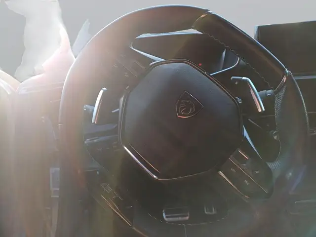 Peugeot 2008 view 15