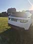Land Rover Discovery Sport 2,0 TD4 4WD SE Aut. Weiß - thumbnail 4
