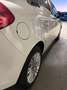 Fiat Bravo 1,6 16V Multijet 90 DPF Dynamic - thumbnail 10