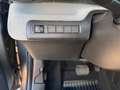 Citroen Sonstige 113 MAX Extended Range Kamera Navi Grau - thumbnail 13