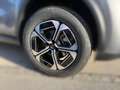 Citroen Sonstige 113 MAX Extended Range Kamera Navi Grau - thumbnail 6
