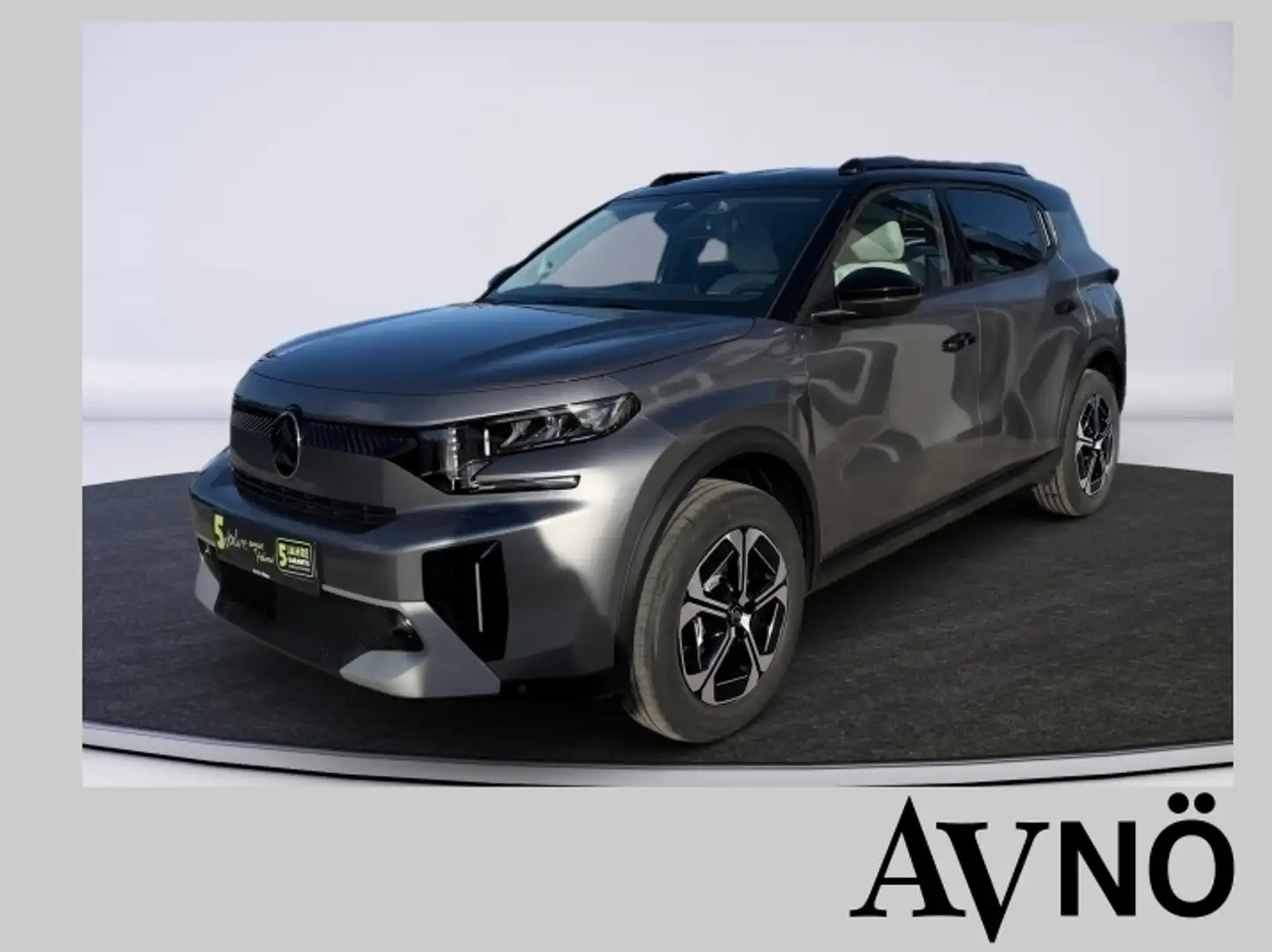 Citroen Sonstige 113 MAX Extended Range Kamera Navi Grau - 1