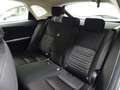 Lexus NX 300 Hybrid 4WD Business Wit - thumbnail 12