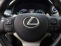 Lexus NX 300 Hybrid 4WD Business Bianco - thumbnail 14