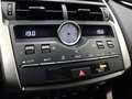 Lexus NX 300 Hybrid 4WD Business Wit - thumbnail 19