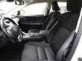 Lexus NX 300 Hybrid 4WD Business Wit - thumbnail 10