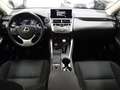 Lexus NX 300 Hybrid 4WD Business Blanco - thumbnail 13