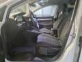 Volkswagen Golf VIII 1.0 TSI Life DigitalCockpit LED Weiß - thumbnail 10