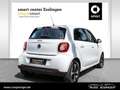 smart forFour EQ  passion *Advanced*Navi*PDC*WinterP.* Bianco - thumbnail 3