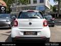 smart forFour EQ  passion *Advanced*Navi*PDC*WinterP.* Bianco - thumbnail 5