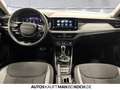 Skoda Kamiq 1.0 TSI DSG Tour BLACK ACC SPURWECHSEL LED Blau - thumbnail 9