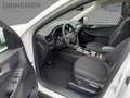 Ford Kuga Titanium LED+Kamera+Navi+Winterpaket Weiß - thumbnail 9