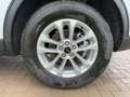 Ford Kuga Titanium LED+Kamera+Navi+Winterpaket Weiß - thumbnail 16