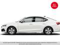Skoda Octavia 2.0 TDI Amb. ASSIST+LED+TEMP+MEGAPREIS Weiß - thumbnail 5