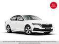 Skoda Octavia 2.0 TDI Amb. ASSIST+LED+TEMP+MEGAPREIS Weiß - thumbnail 2