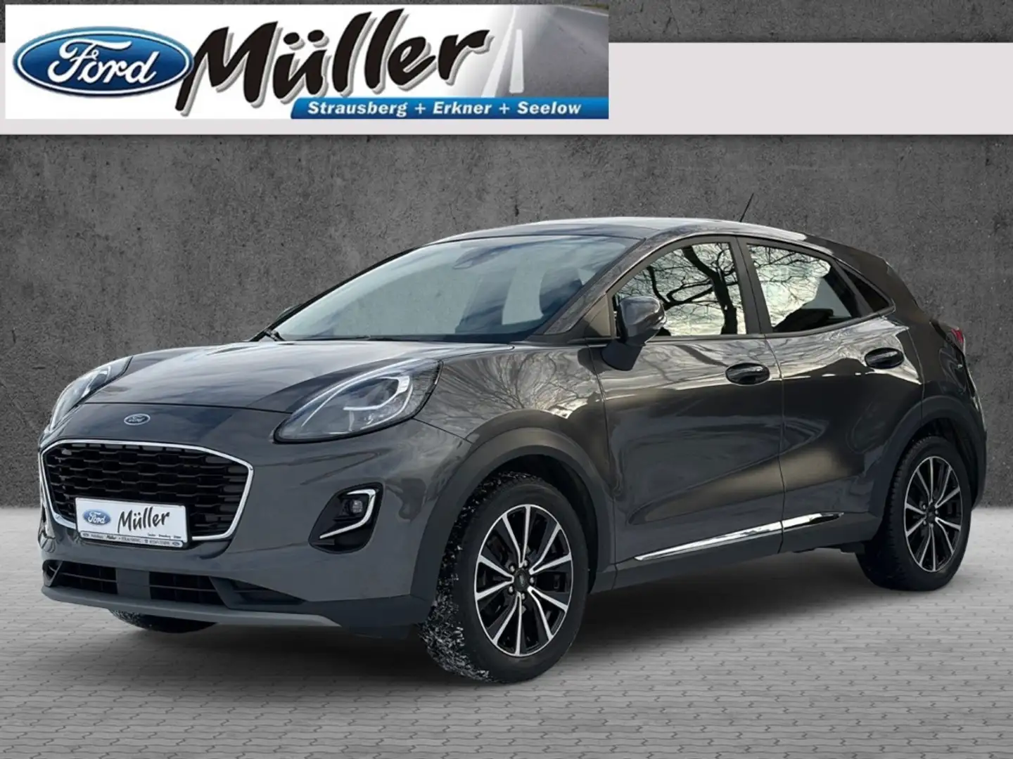 ford puma