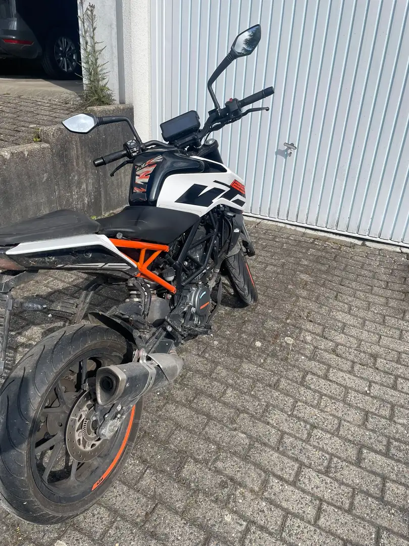 KTM 125 Duke Blanco - 2
