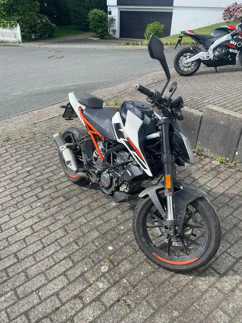 KTM 125 Duke Blanco - 1