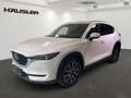 Mazda CX-5 Sports-Line 2.5 AWD Automatik AHK Leder Navi ACC Alb - thumbnail 1