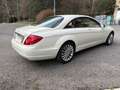 Mercedes-Benz CL 500 BE 4M Aut. Blanco - thumbnail 5