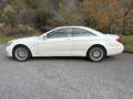 Mercedes-Benz CL 500 BE 4M Aut. Blanco - thumbnail 8
