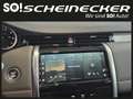Land Rover Discovery Sport P300e PHEV AWD R-Dynamic S Aut. Grau - thumbnail 13