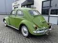 Volkswagen Kever 1300 Brazil, gerestaureerd ,Deutsche Zulassung Vert - thumbnail 3