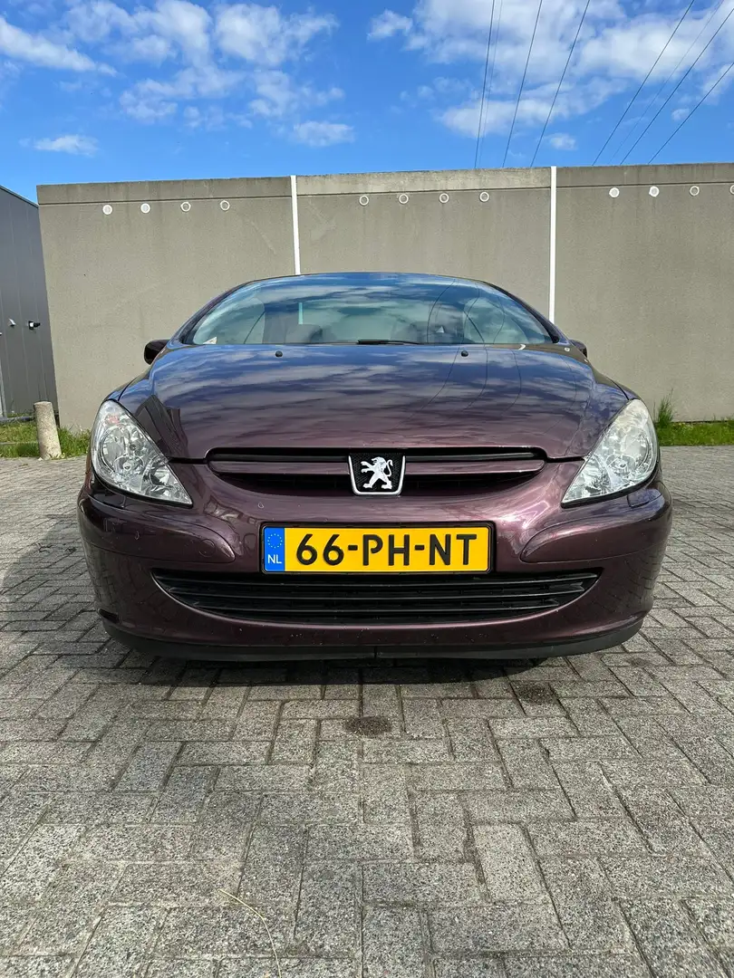 Peugeot 307 2.0-16V Paars - 1
