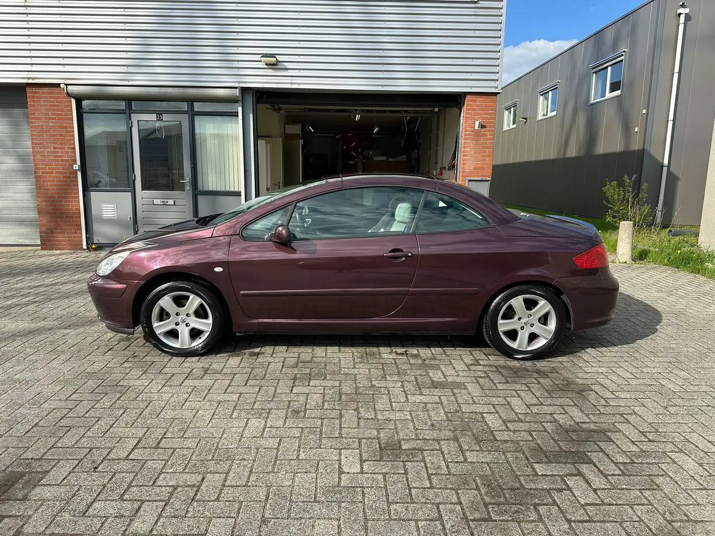 Peugeot 307 2.0-16V Paars - 2