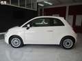 Fiat 500 1.0 hybrid Cult 70cv 4/2021 KM65000 NAVI OTTIMA Blanc - thumbnail 3