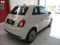 Fiat 500 1.0 hybrid Cult 70cv 4/2021 KM65000 NAVI OTTIMA Blanc - thumbnail 2