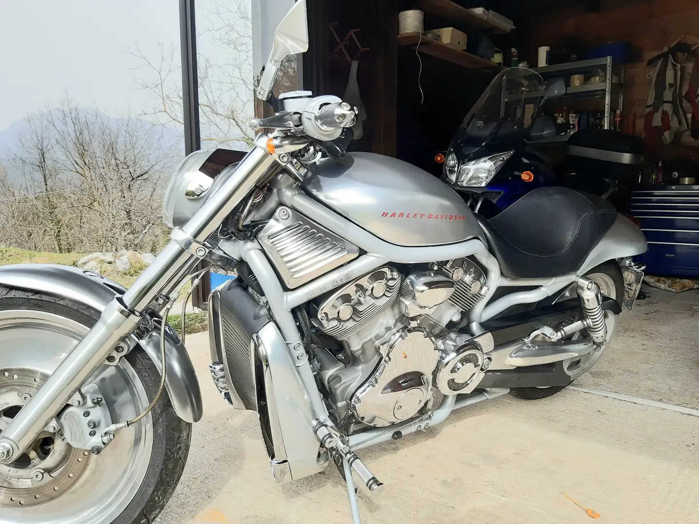 Harley-Davidson V-Rod VRSCA , alluminio, giugno 2002 - 2