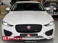 Jaguar XE XE P250 R-Dynamic SE Navi LED ACC Rückfahrkamera Weiß - thumbnail 2