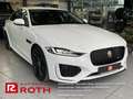 Jaguar XE XE P250 R-Dynamic SE Navi LED ACC Rückfahrkamera Weiß - thumbnail 3