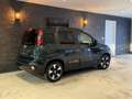 Fiat Panda 1.0 Hybrid / Pandina Bj: 2025 Grün - thumbnail 17