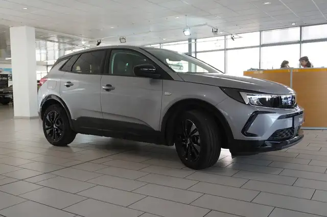 Opel Grandland X view 6