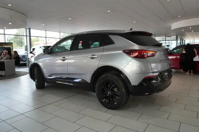 Opel Grandland X view 11
