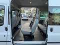 Ford Transit 9.Sitzer H2+L2/KLIMA/TEMPO/AHK/1.HAND Weiß - thumbnail 13