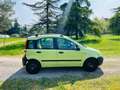 Fiat Panda 1.2 Alessi Verde - thumbnail 3