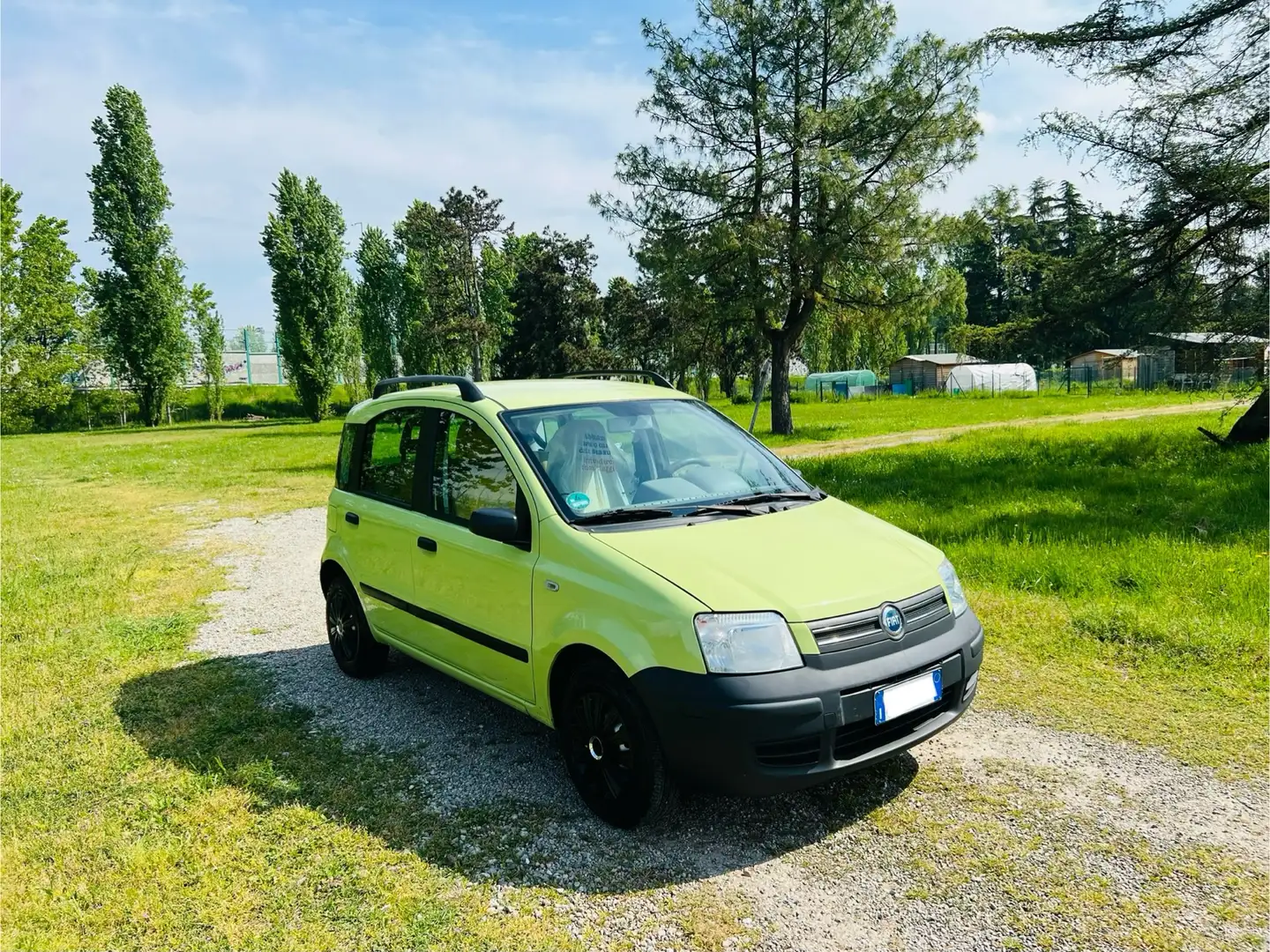 Fiat Panda 1.2 Alessi Verde - 2